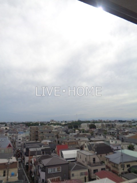 その他11