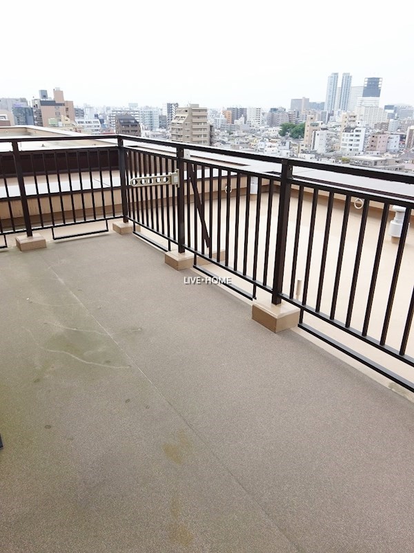 その他17