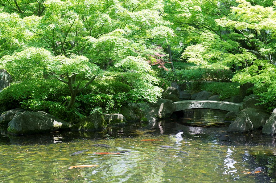 i-LAND荻窪 周辺画像7