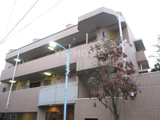 その他17