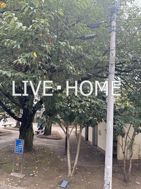 その他7