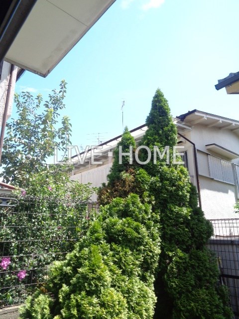 その他13