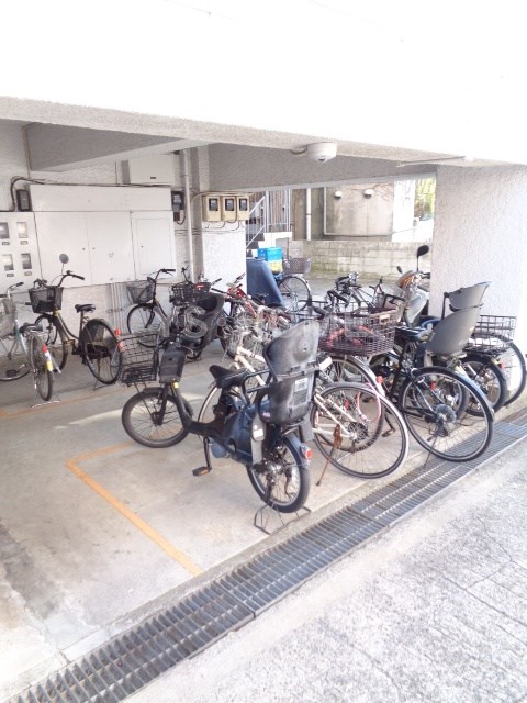 その他15