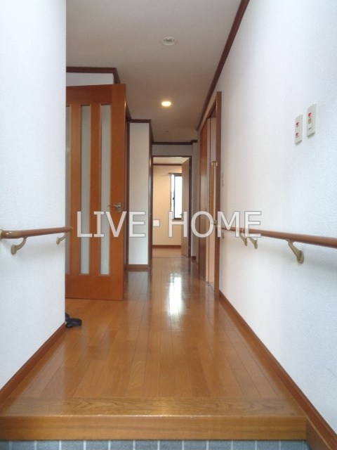 その他29