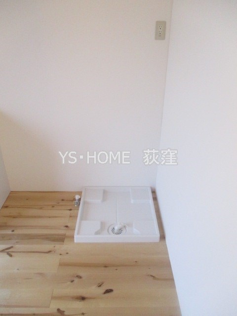 ニシオギソウ その他2