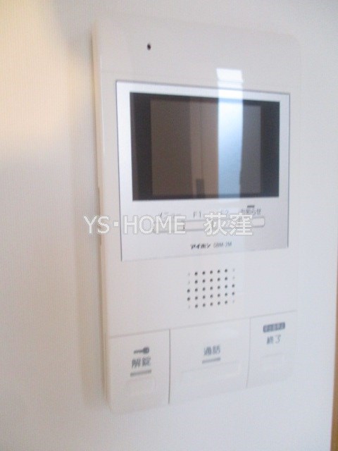 ニシオギソウ その他15