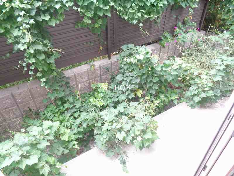 その他15