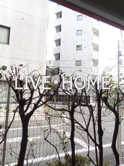その他13