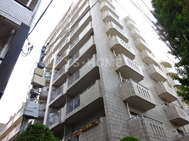 その他11
