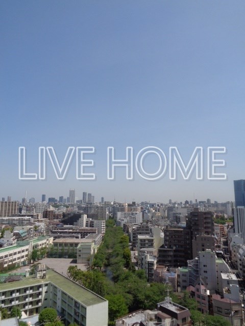 その他5