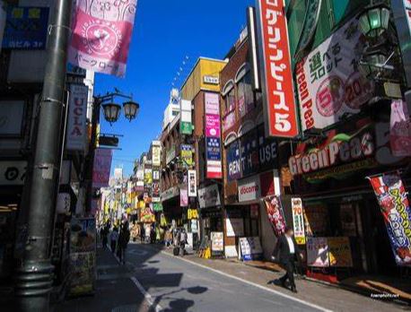 サンパレス吉祥寺南 周辺画像3