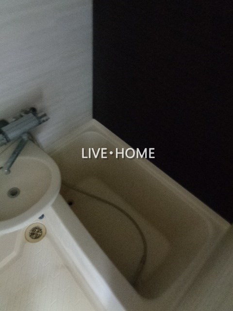その他31