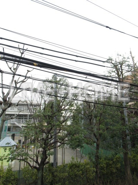 その他12