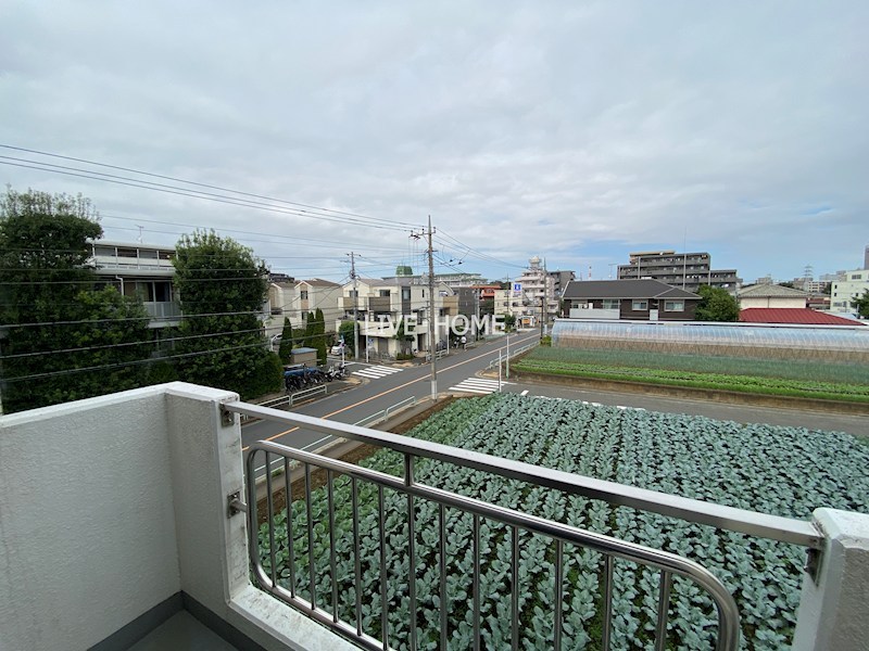 その他27