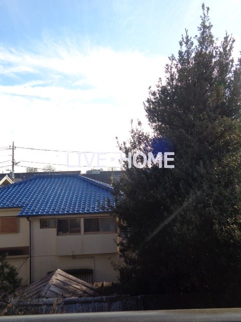 その他16