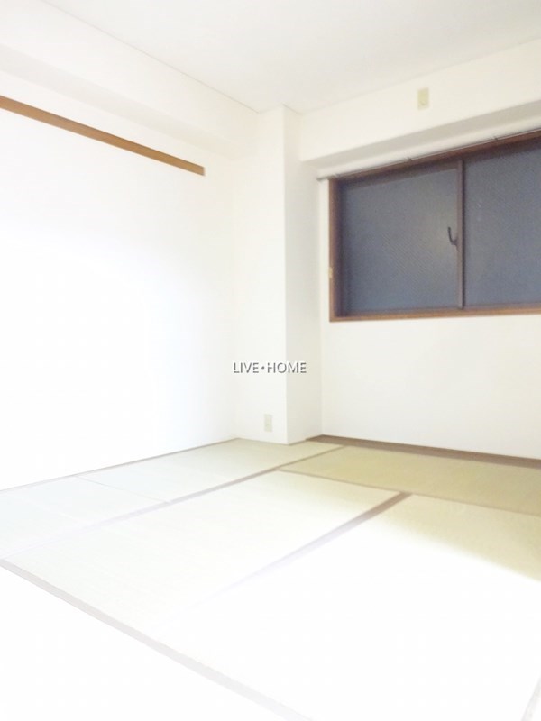 その他11