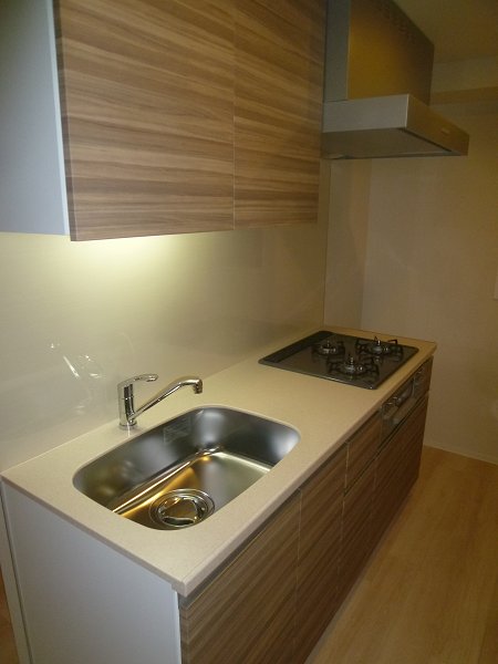 ザ・パークハビオ高円寺 キッチン