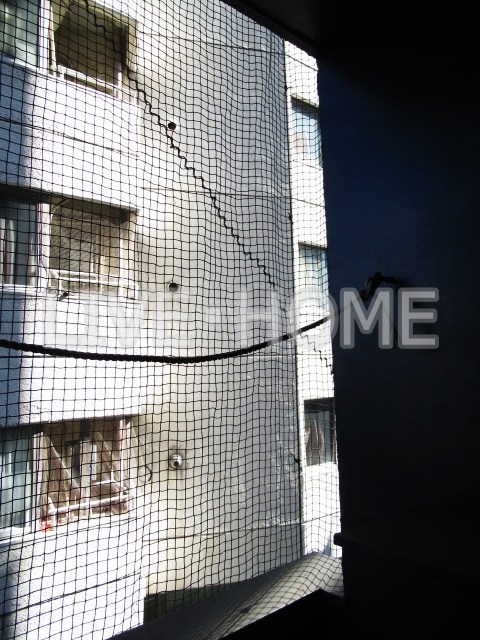 その他15