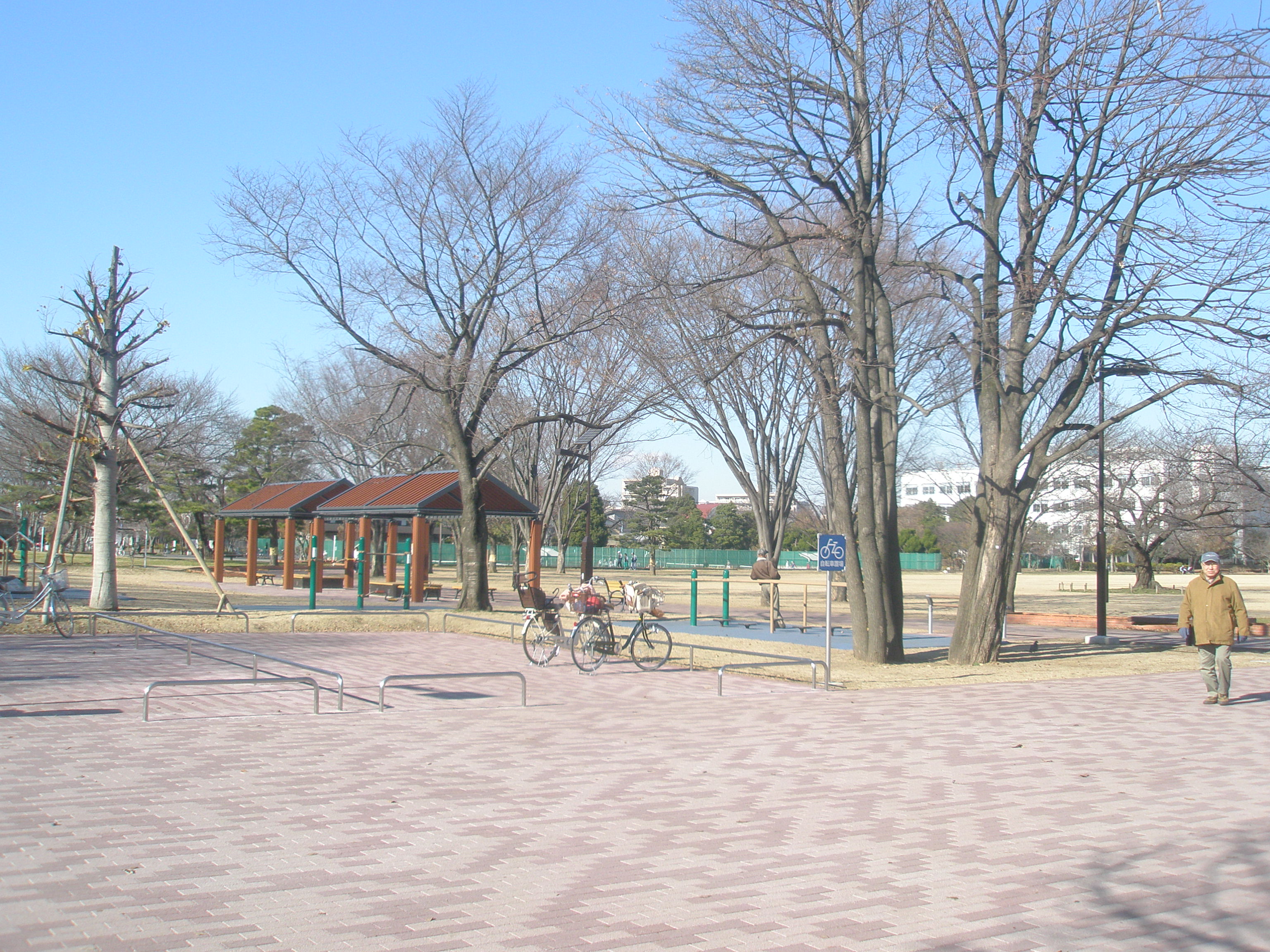 シャトレー武蔵野伍番館 周辺画像8