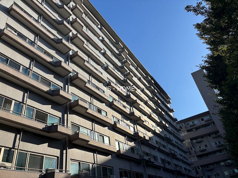 その他8