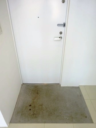 ラグゼナ東高円寺 玄関