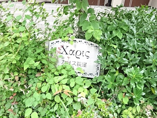 カリス荻窪 その他6