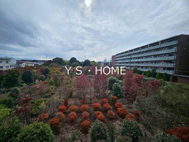 フィーカ その他6