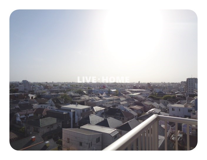 その他29