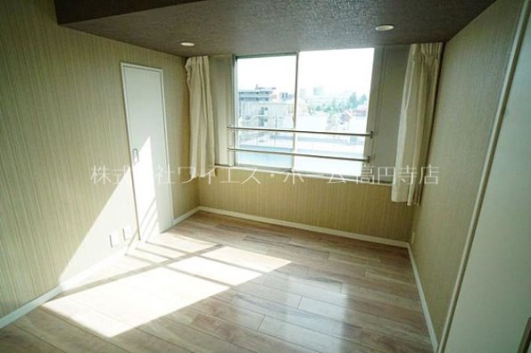 ヴィレッタ菊 その他6