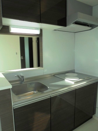 ヴィラ高円寺Ⅱ その他20