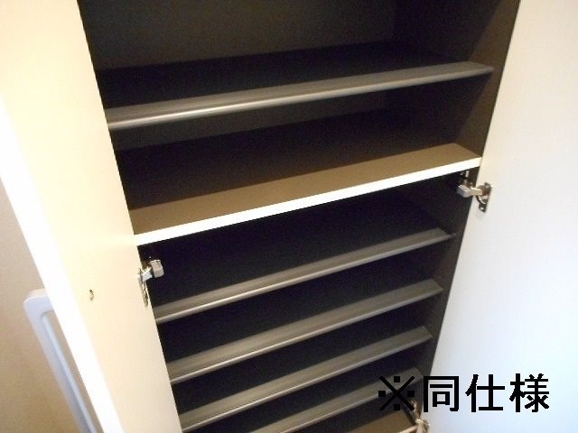 フラーゼ  その他5