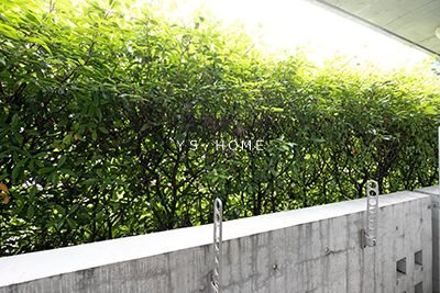 ル・ボワ武蔵境 その他15