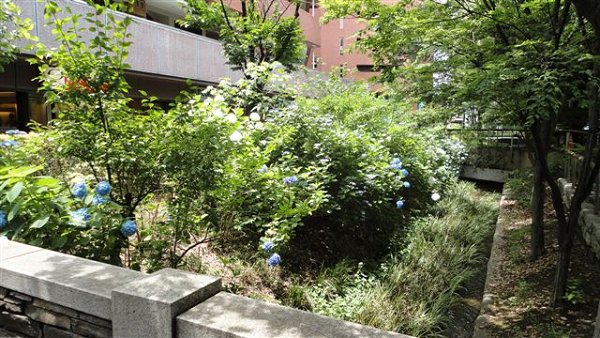 三鷹パークファミリア  周辺画像3