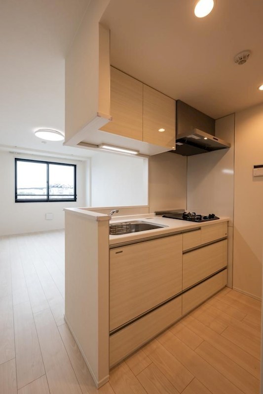 マリオン杉並 キッチン