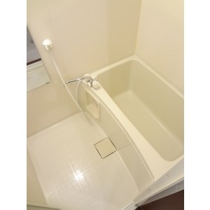 カサブランカN その他11