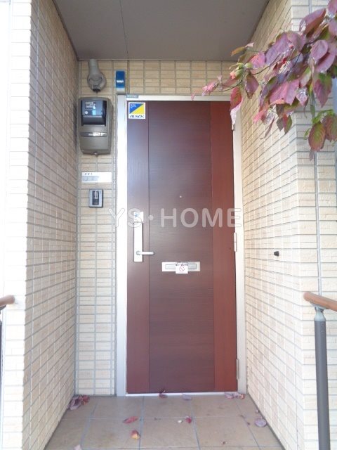 Felicio igusa（フェリシオイグサ） その他7