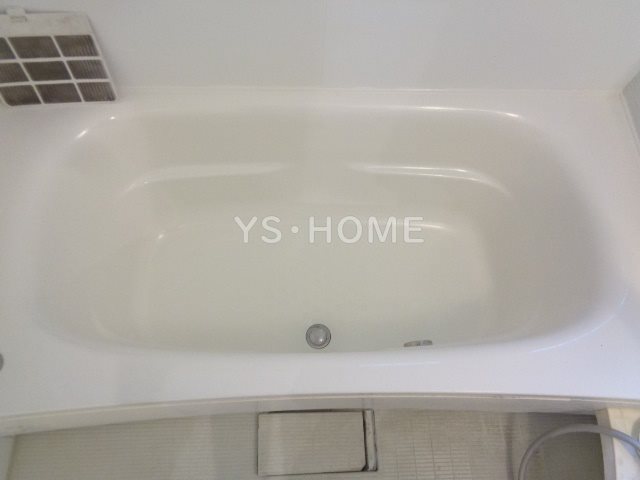 Felicio igusa（フェリシオイグサ） その他10