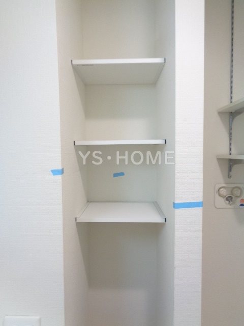 Felicio igusa（フェリシオイグサ） その他15