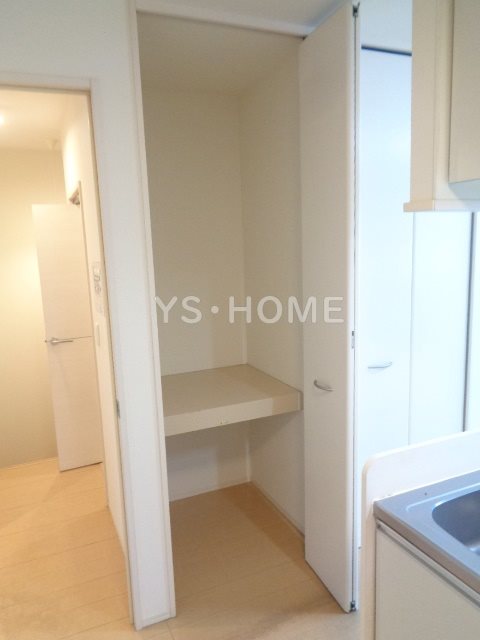 Felicio igusa（フェリシオイグサ） その他16