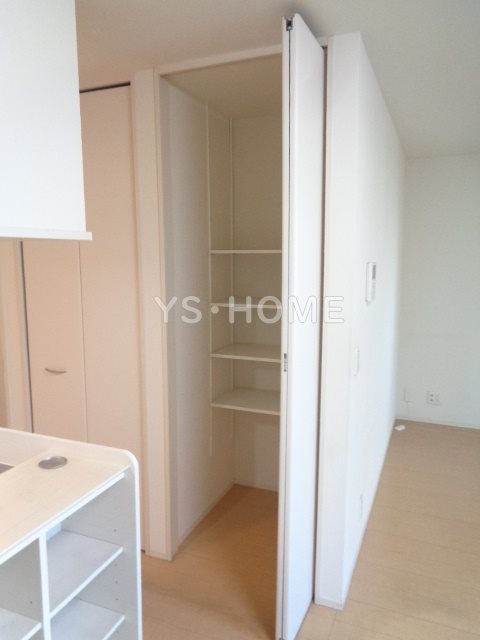 Felicio igusa（フェリシオイグサ） その他17