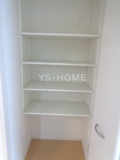 Felicio igusa（フェリシオイグサ） その他18