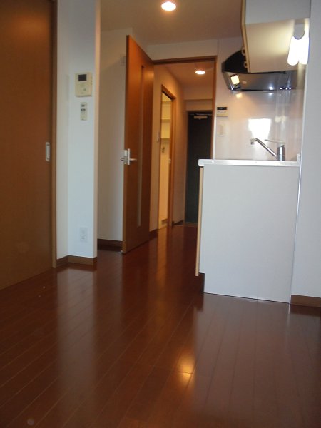 プレジールＳ その他11