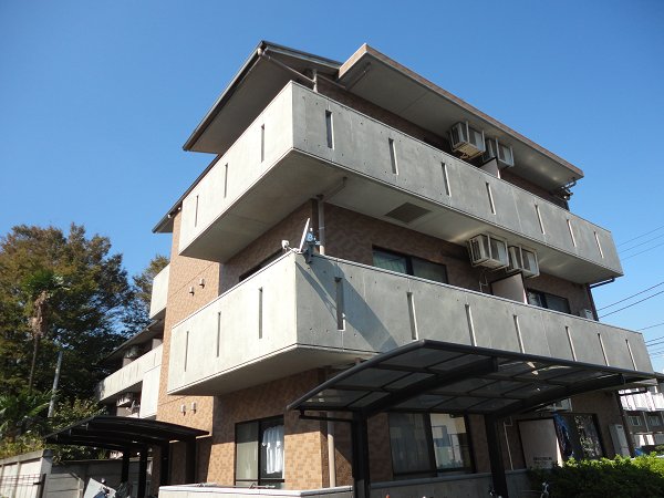 ＺＥＬＫＯＶＡ　ＧＡＲＤＥＮ　　 その他外観1