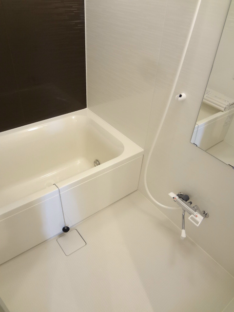 Callisto その他12