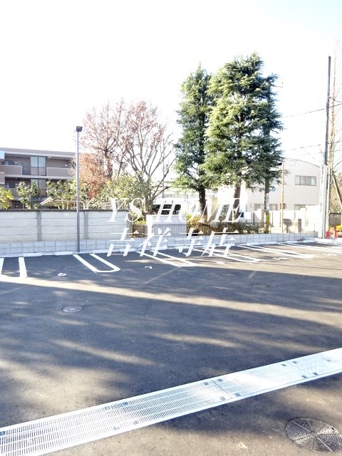 シルフィッドS その他2