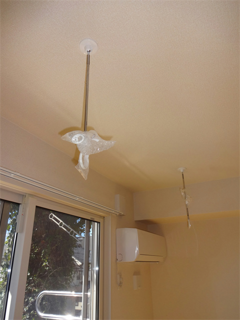 ゼルコヴァ北野 その他29