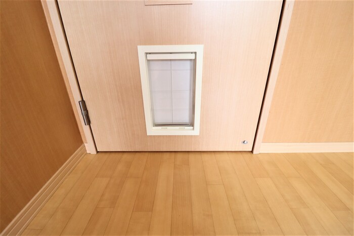 サンクレア Ⅴ&amp;nbsp;Ⅴ その他13