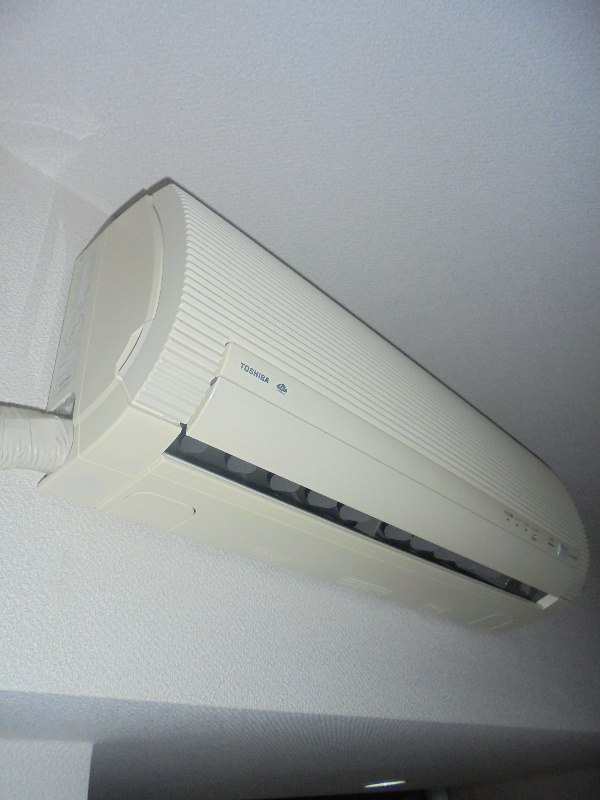 パローマＩＯＧＩ その他8