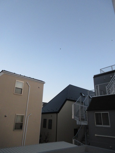 ペルシカ中野  その他7