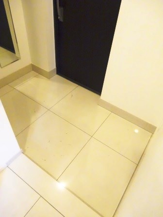 エルデンシア阿佐ヶ谷プラチナム 玄関